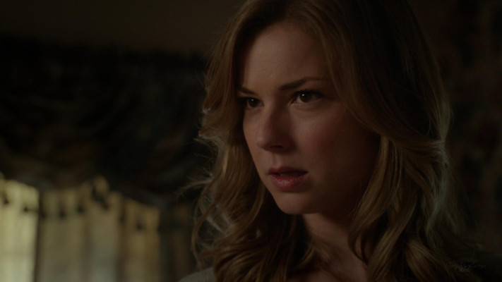 Emily van Camp pic #1216697