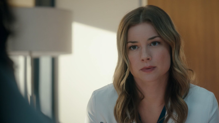 Emily van Camp pic #1255482