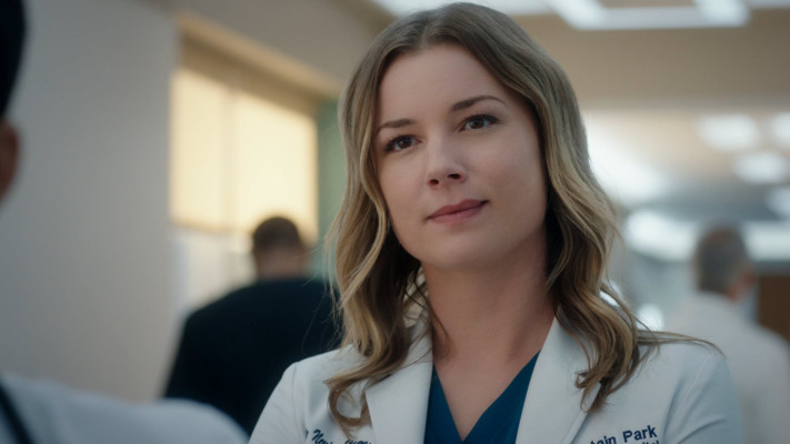 Emily van Camp pic #1248670