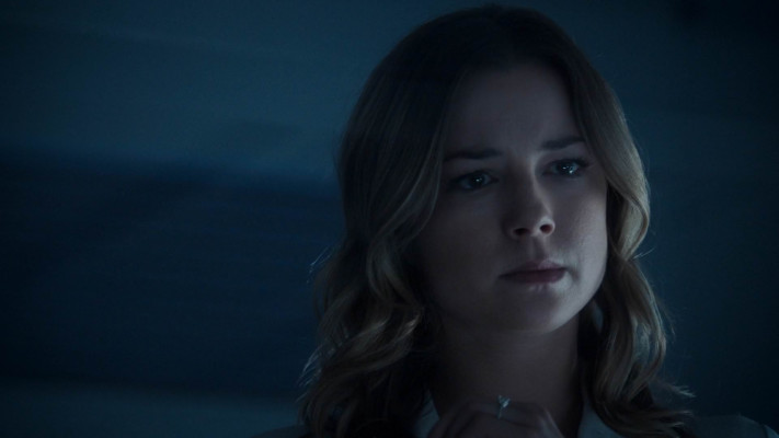 Emily van Camp pic #1248672