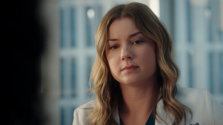 Emily van Camp pic #1248668