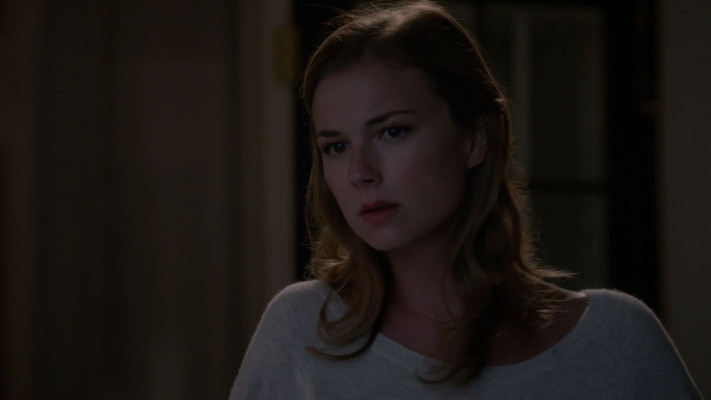 Emily van Camp pic #1279628
