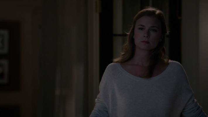 Emily van Camp pic #1279636