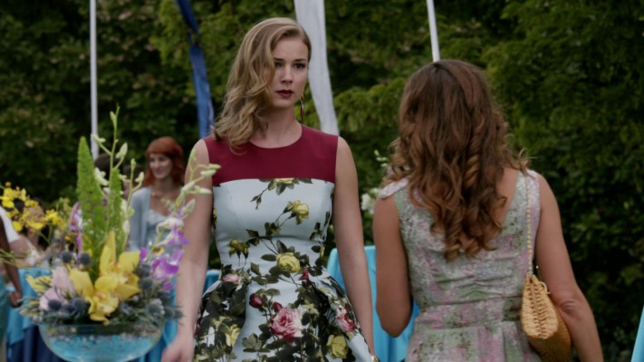 Emily van Camp pic #1279617