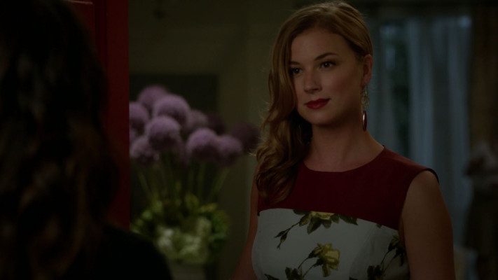 Emily van Camp pic #1279619