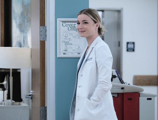 Emily van Camp pic #1282623