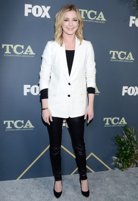 Emily van Camp pic #1104152