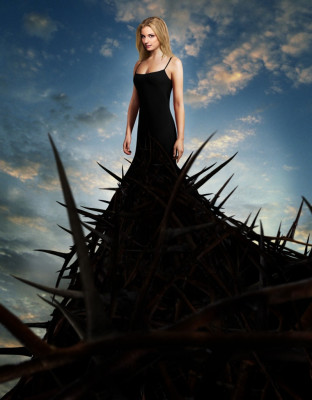 Emily van Camp pic #712484