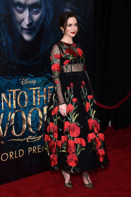 Emily Blunt pic #747570