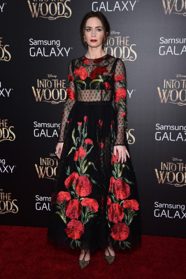Emily Blunt pic #747567