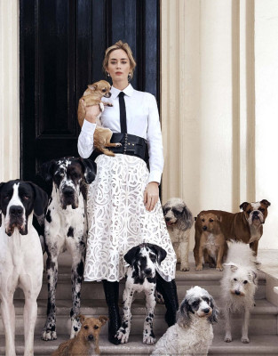 Emily Blunt pic #1205663