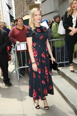 Emily Blunt pic #1029117