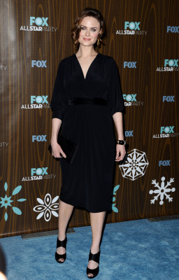 Emily Deschanel pic #227349