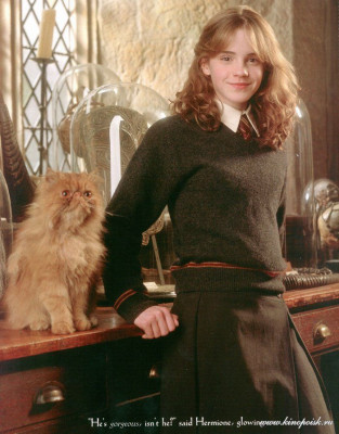 Emma Watson pic #45243