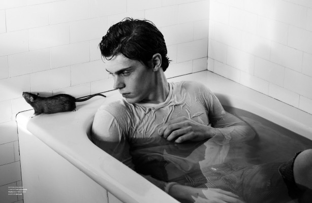 Evan Peters pic #557668