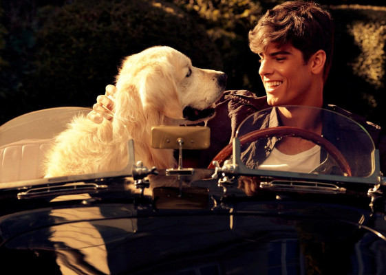 Evandro Soldati pic #341491