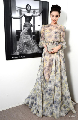 Fan Bing Bing pic #617528