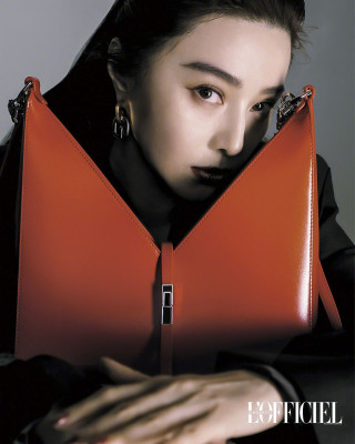 Fan Bing Bing pic #1247695