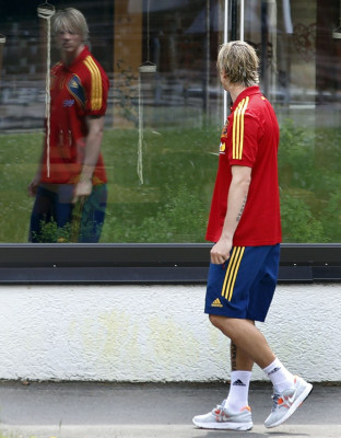 Fernando Torres pic #497333