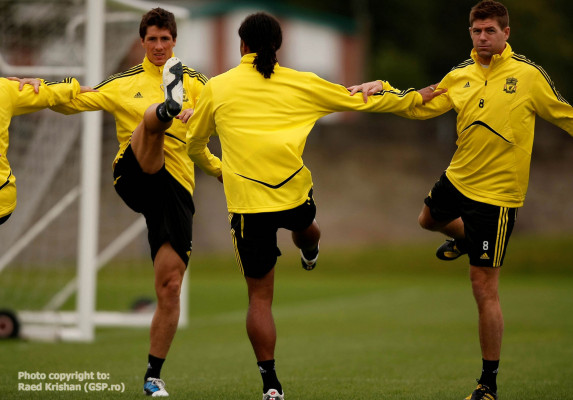 Fernando Torres pic #612733