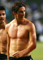 Fernando Torres pic #499777