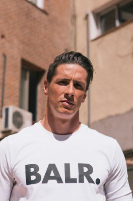 Fernando Torres pic #1318552