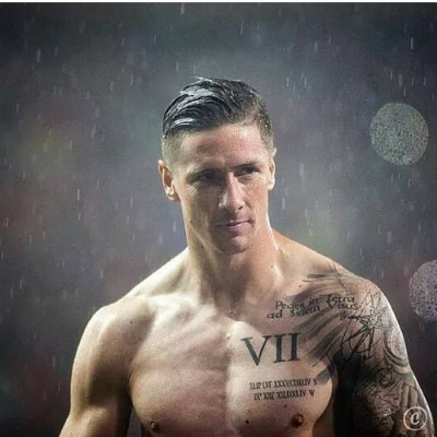 Fernando Torres pic #1318550