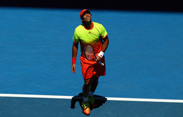 Fernando Verdasco pic #452276