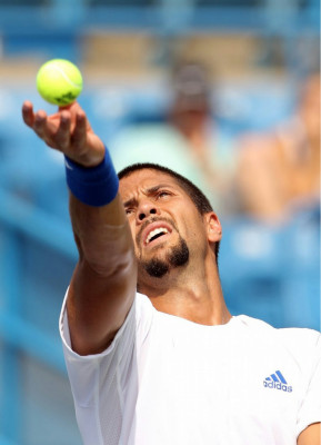 Fernando Verdasco pic #398030