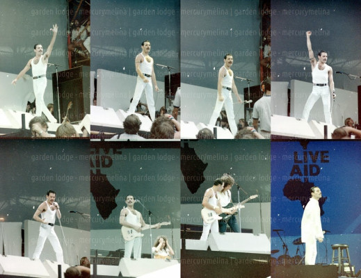 Freddie Mercury pic #699863