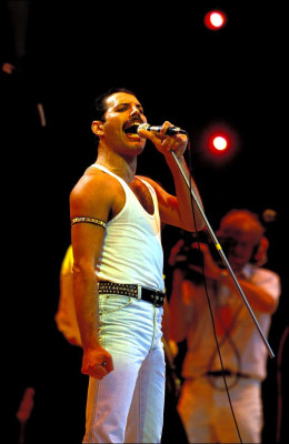 photo 25 in Freddie Mercury gallery [id710532] 2014-06-20 00:00:00