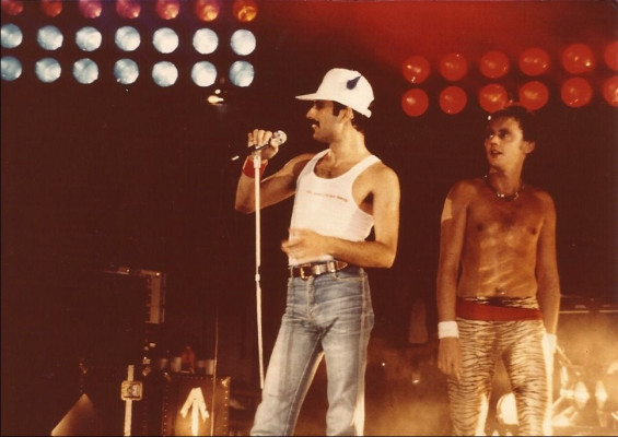 Freddie Mercury pic #698462