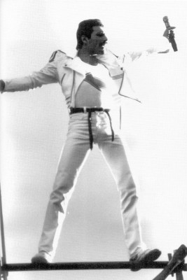 Freddie Mercury pic #688005