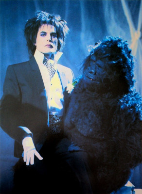 Freddie Mercury pic #699839