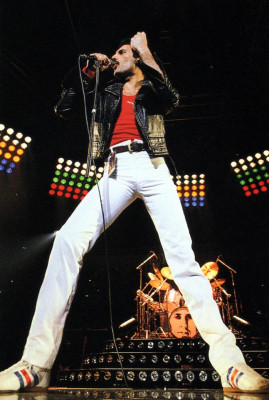 Freddie Mercury pic #687069