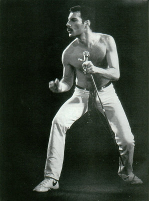 Freddie Mercury pic #233701