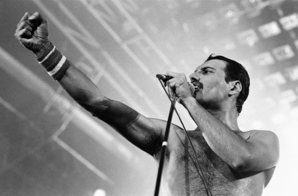 Freddie Mercury pic #683641