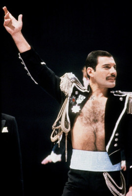 Freddie Mercury pic #688517