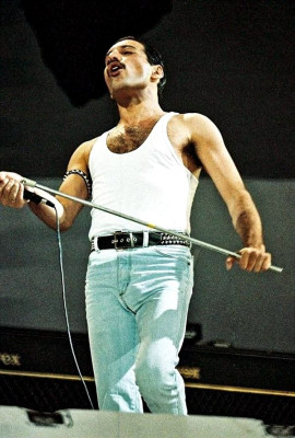 Freddie Mercury pic #715627