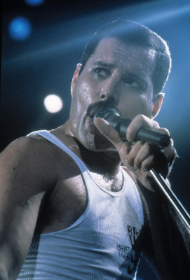 Freddie Mercury pic #640805