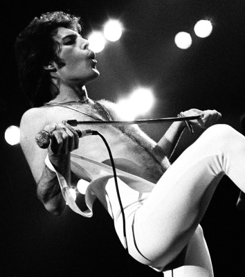 Freddie Mercury pic #685235