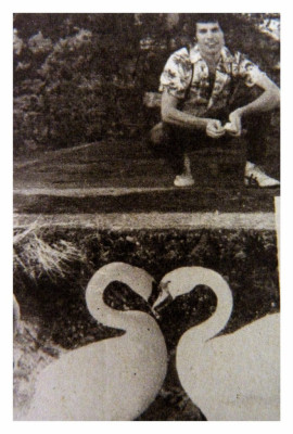 Freddie Mercury pic #699853