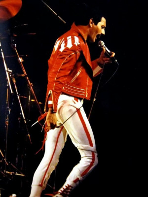 Freddie Mercury pic #687252