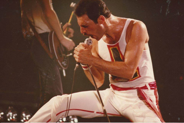 Freddie Mercury pic #688096