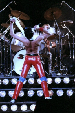 Freddie Mercury pic #688510