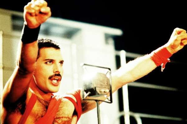 Freddie Mercury pic #710559