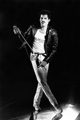 Freddie Mercury pic #683660