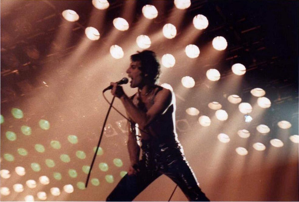 Freddie Mercury pic #690406