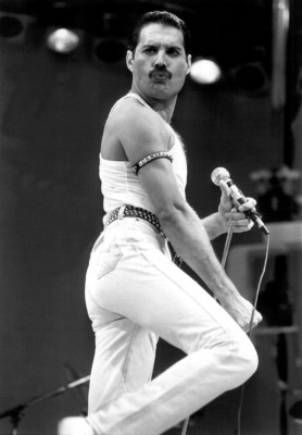 Freddie Mercury pic #699811
