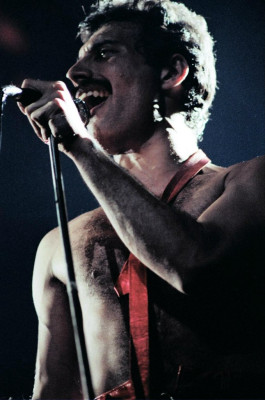 Freddie Mercury pic #688512